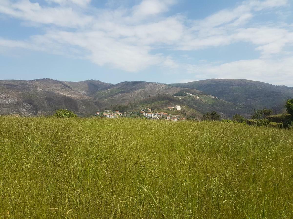 Villa Casa Da Boa Vista Em Viadal Vale de Cambra Exterior foto